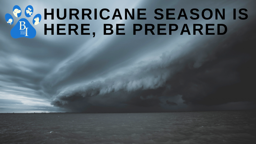 Experts Predict A Brutal Hurricane Season: Are You Prepared? - nk2zou6